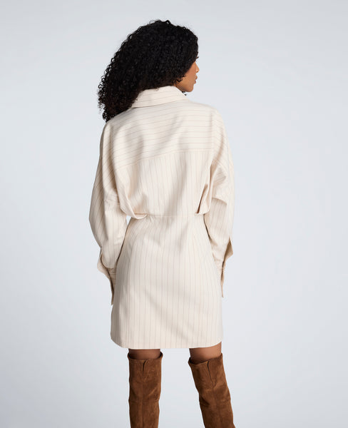Kenneth Cole Striped Shirtdress