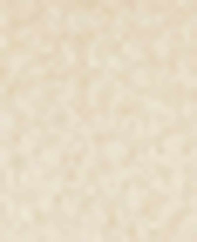 Kenneth Cole - GENTLE SOULS - Annalise Perforated Leather Ribbon Tie Ballet Sneaker WOMENS ATHLEISURE for Women