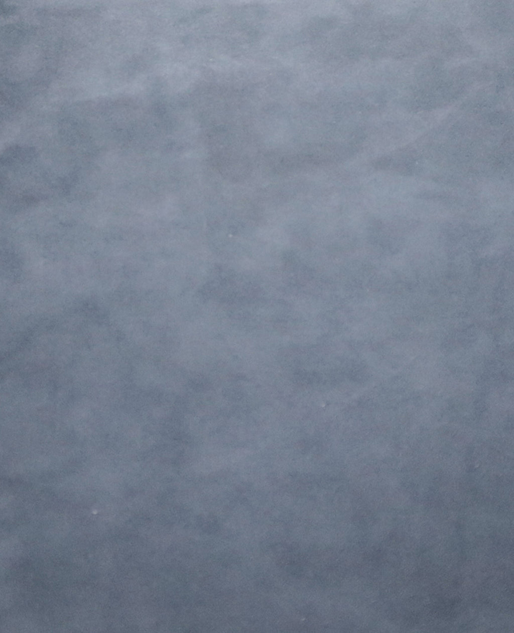 GENTLE SOULS - Atlas Suede Bow Flat