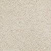 Dixon Suede Toe Ring Buckle Sandal