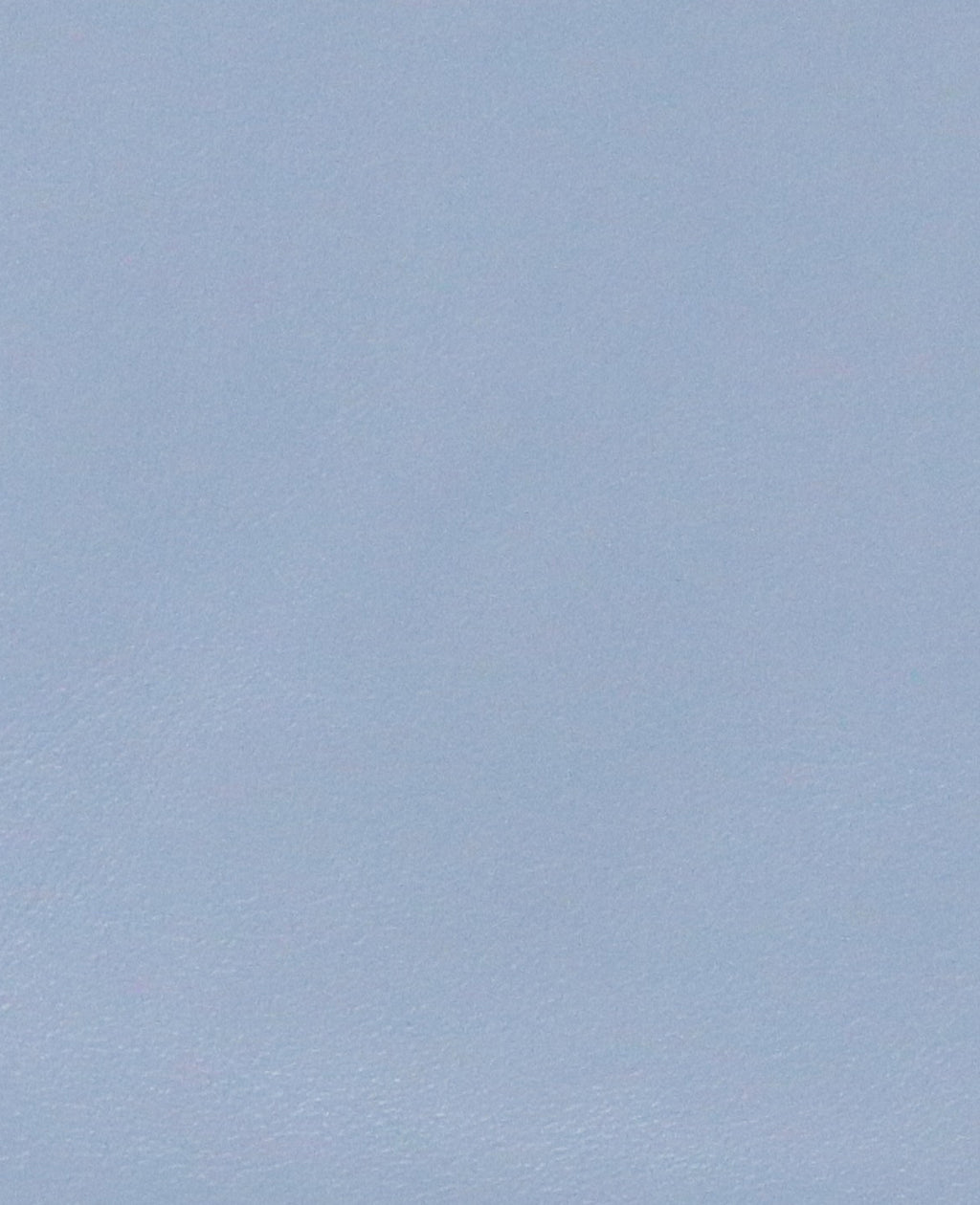 GENTLE SOULS - Willow Perforated Leather Ballet Flat