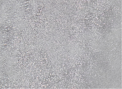 GENTLE SOULS - Leslie X Band Metallic Tread Sole Sandal