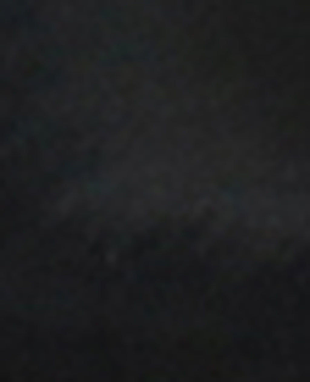 Linxie Patent High Vamp Pump