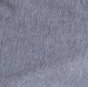 Performance Tech Short