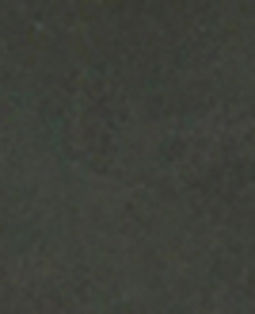 Scorpio Leather Stud Boot