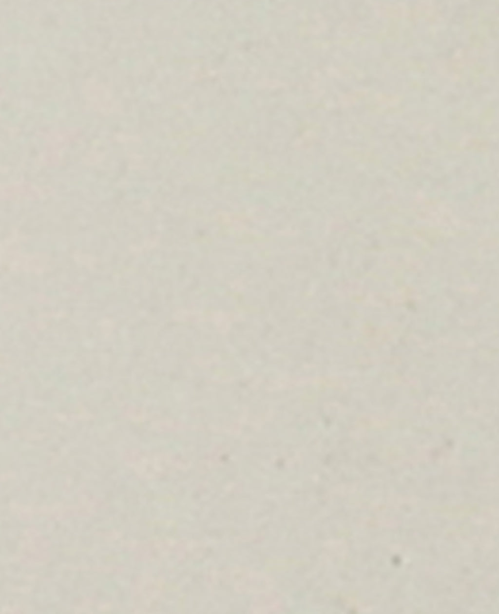 Susannah Leather Thong Wedge Sandal