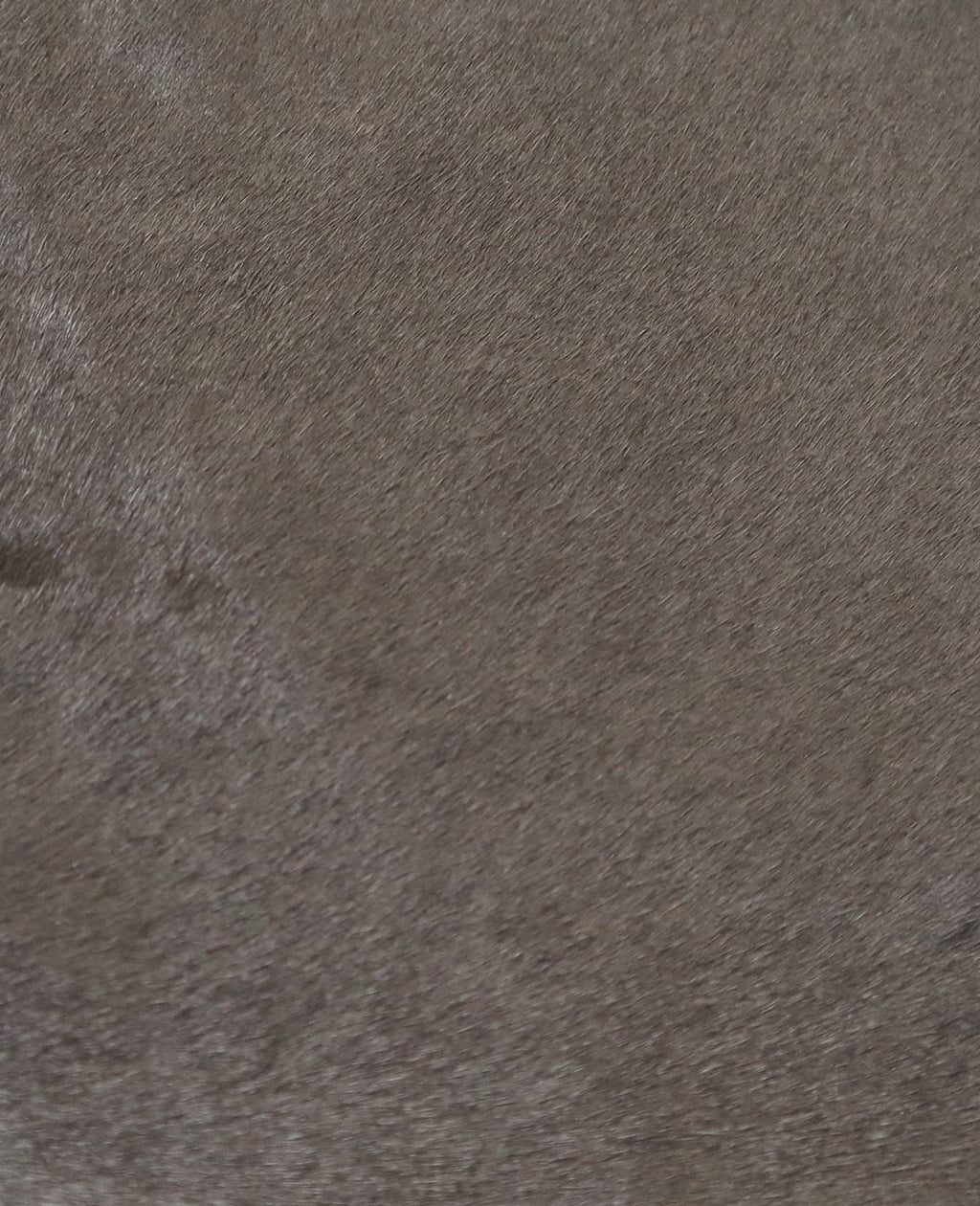 GENTLE SOULS - Wanda Calf Hair Mule Flat