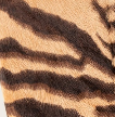 GENTLE SOULS - Atlas V Tiger Calf Hair Flat
